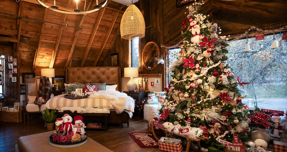 EllenNelson 2025 Mtn Home Bedroom V2.jpg