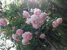 IMG_5704.jpeg