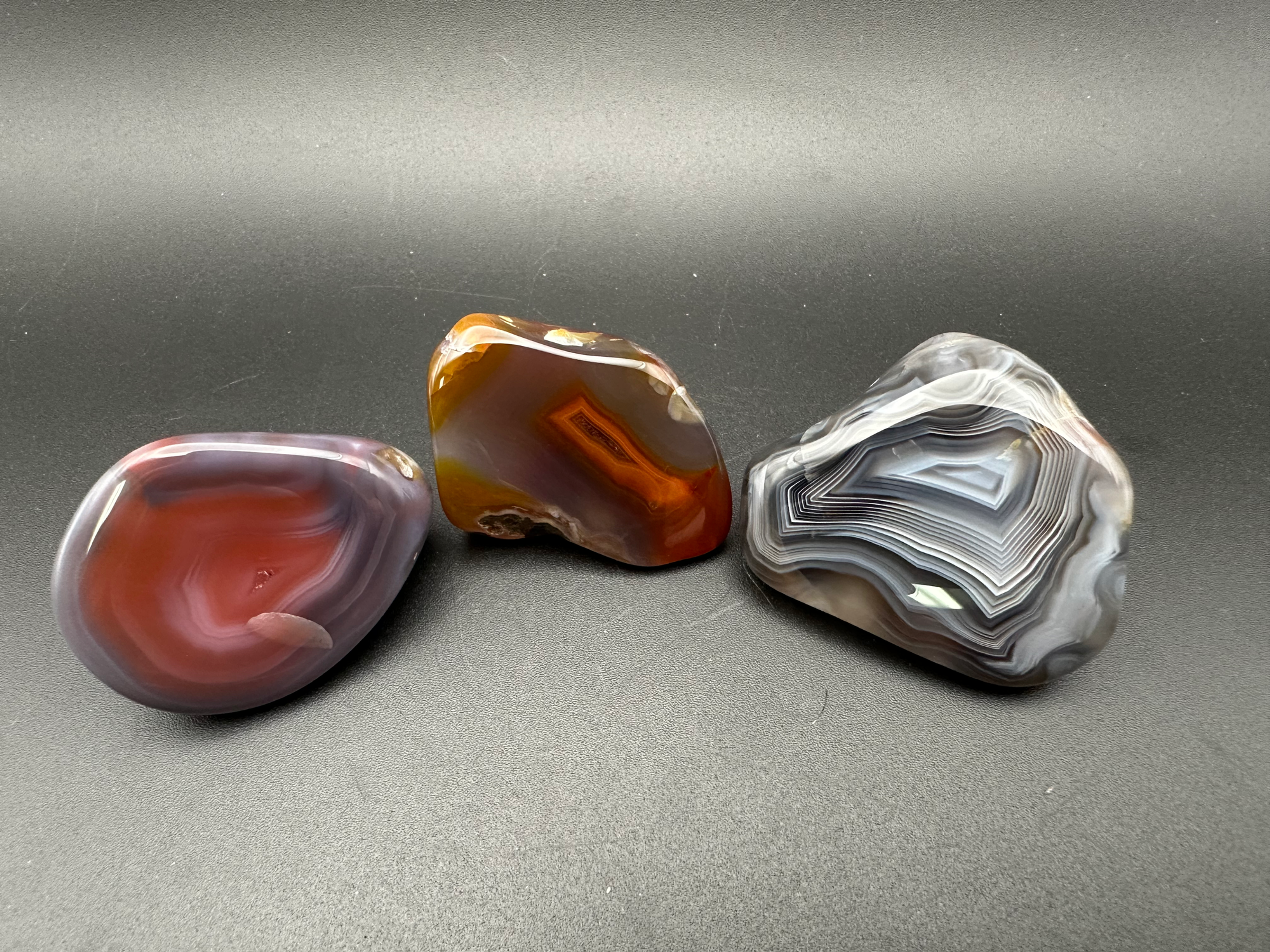 Exotic African Collection