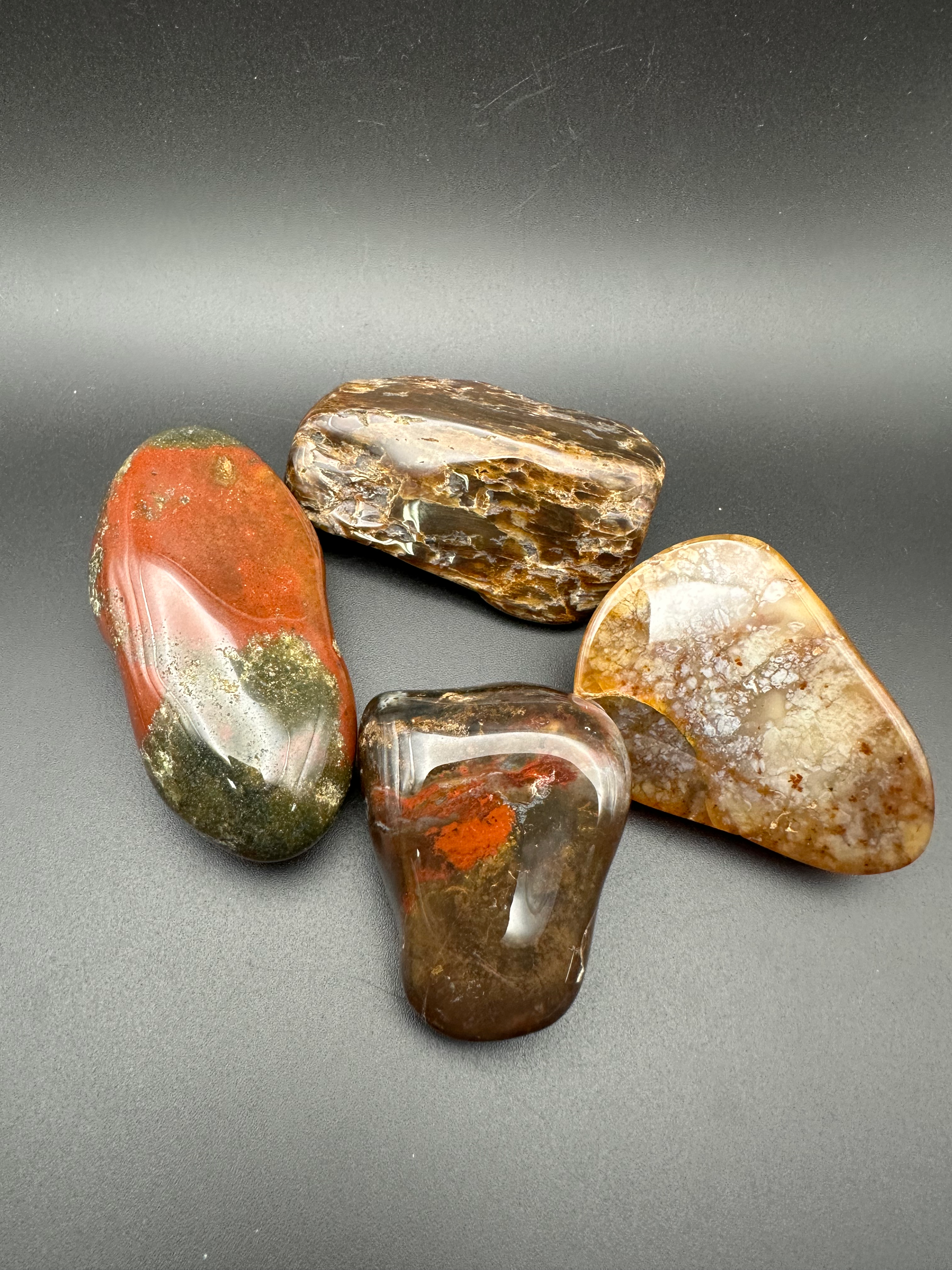 South Texas Collection