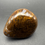 Thumbnail: South Texas Agates and Jasper