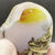 Thumbnail: West Texas Agate Mini Slabs