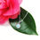 Thumbnail: Silver Opalite & Crystal cluster necklace