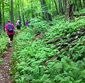 Hikers, FRAT system.JPG