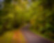 High Knob Road 2-.jpg