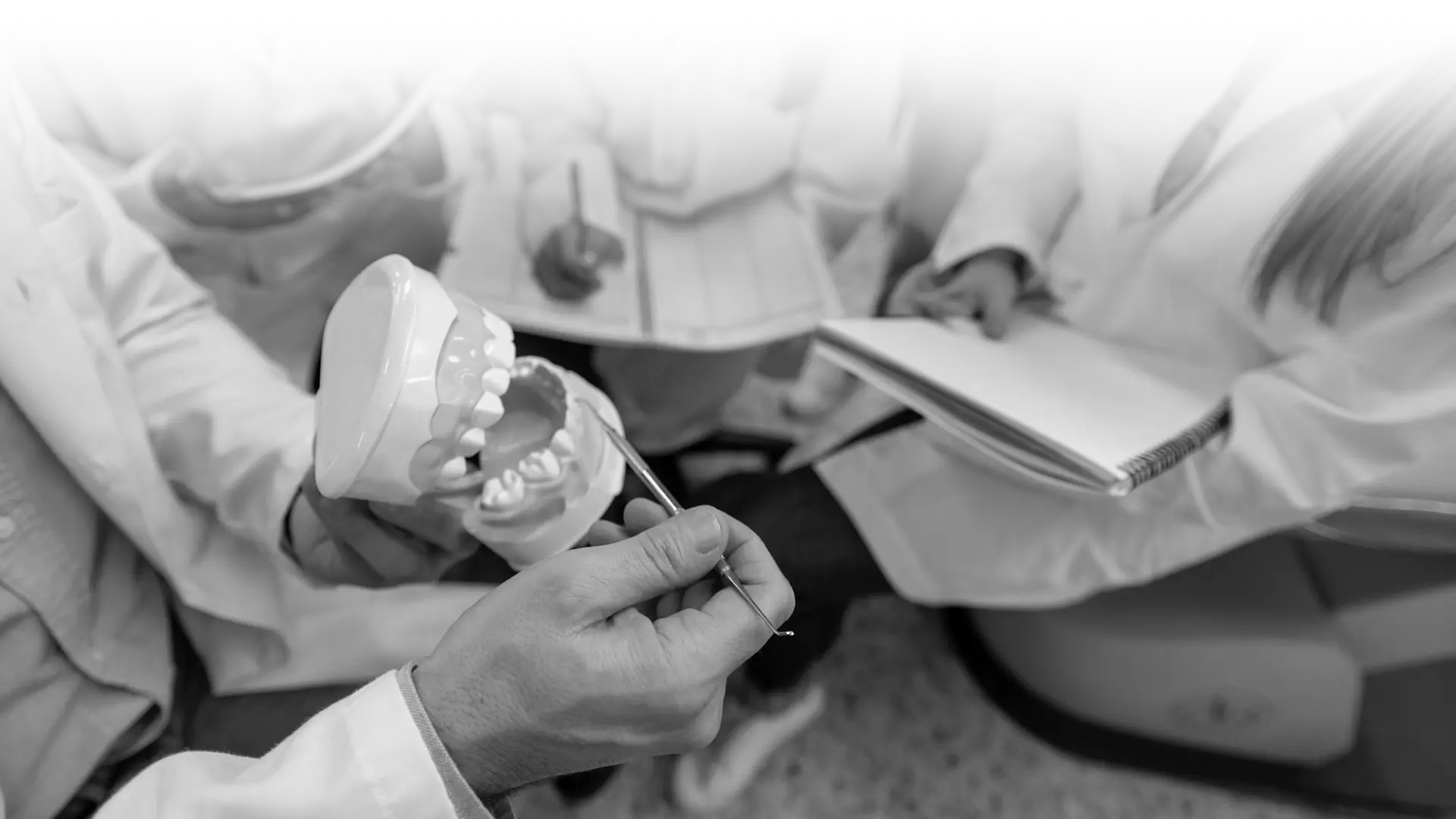 image-dental-mentorship-bw.webp