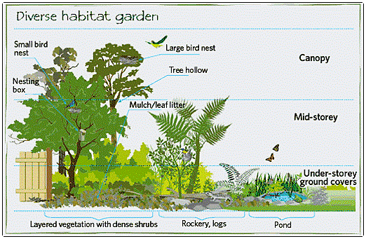 The Birders of St. James | Birds of Coastal North Carolina