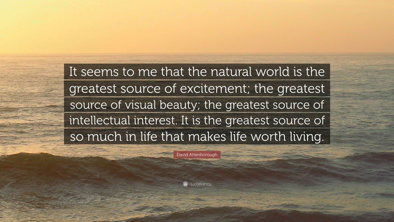 Ocean scene