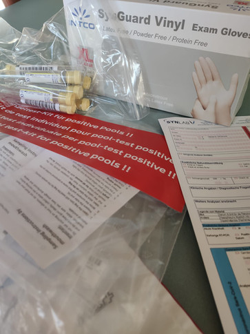 COVID-19 AN DER PRIMARSCHULE ELLIKON – QUARANTÄNEMASSNAHMEN UND REIHENTESTUNG