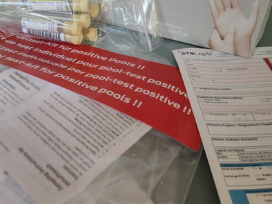 COVID-19 AN DER PRIMARSCHULE ELLIKON – QUARANTÄNEMASSNAHMEN UND REIHENTESTUNG