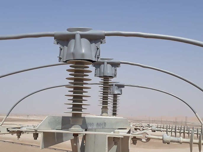 pin insulator animal protection
