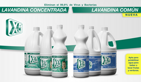 X5 lavandina