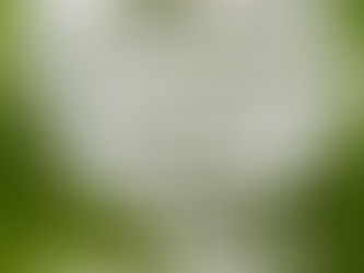 01 de Agosto de 2019