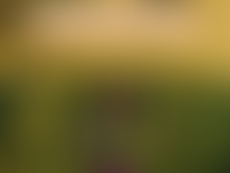 Brilla y perfuma con la presencia de Dios - 11 de Diciembre 2023