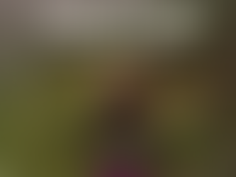 Seamos grato olor de Cristo - 28 de Junio 2022