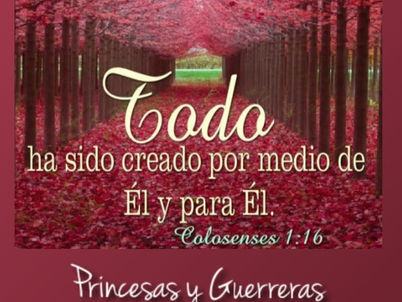 18 de Mayo del 2020