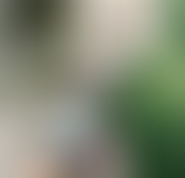 Reafirmando el señorío de Cristo - 17 de Abril 2026