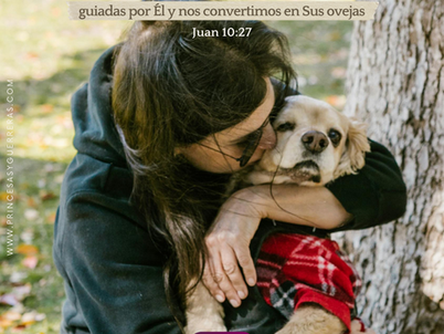 Escuchando al Pastor - 29 de Agosto 2025