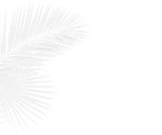Jacks The View Cover (1).png