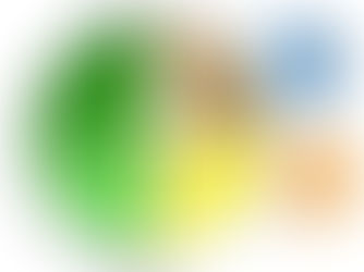 A Diabetes Care Plan for You