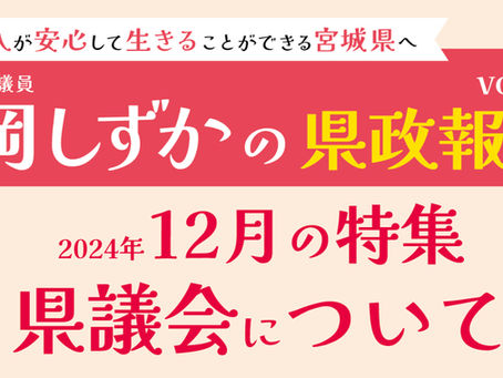 県政報告vol.３「県議会について」