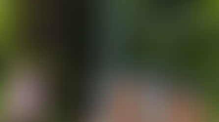 視察報告⑥医療法人聖粒会 慈恵病院（熊本県）