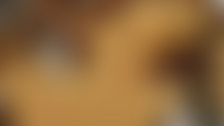 【ご報告】第３９７回県議会（令和７年９月定例会）一般質問