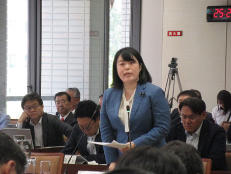 【ご報告】第４００回県議会（令和８年６月定例会）予算特別委員会総括質疑