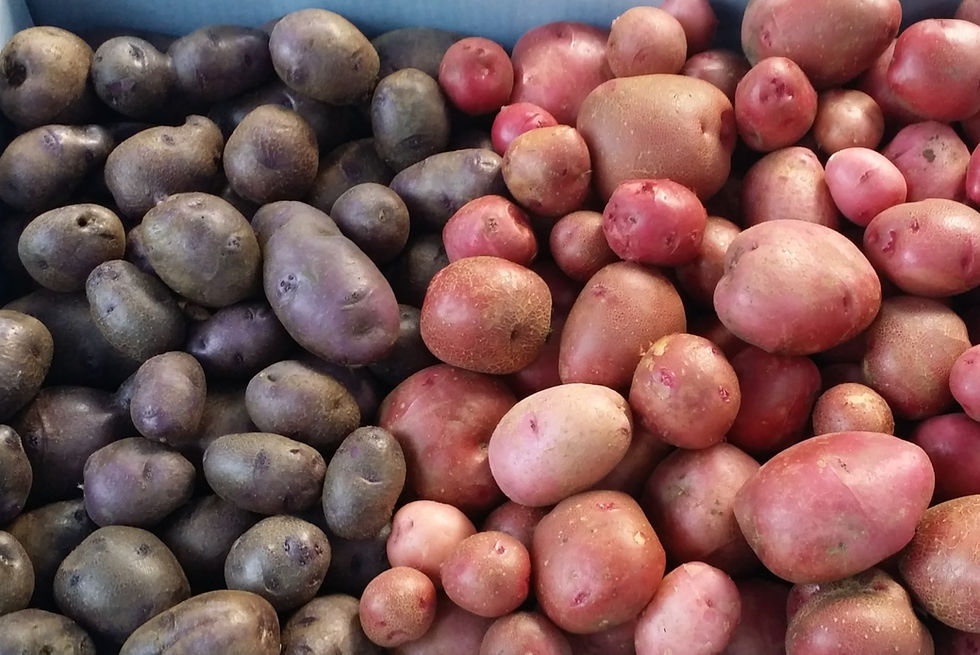 Potatoes
