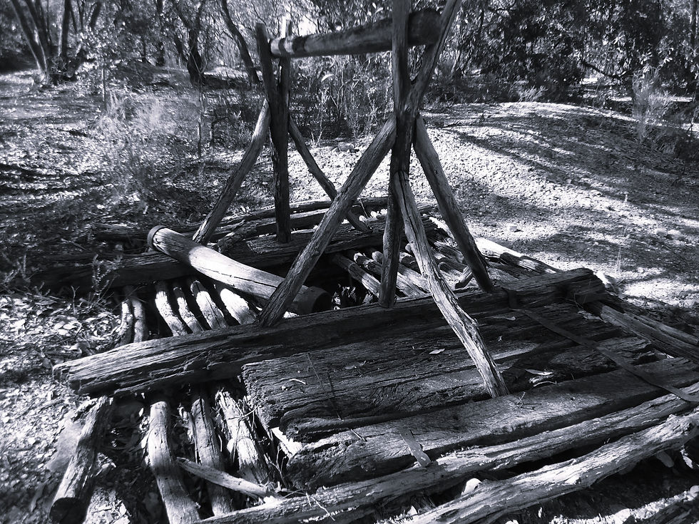 Image from my personal collection (taken near Castlemaine, Victoria)
