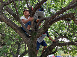 58D3BF44-6BDC-4104-AD12-9E99A1580483