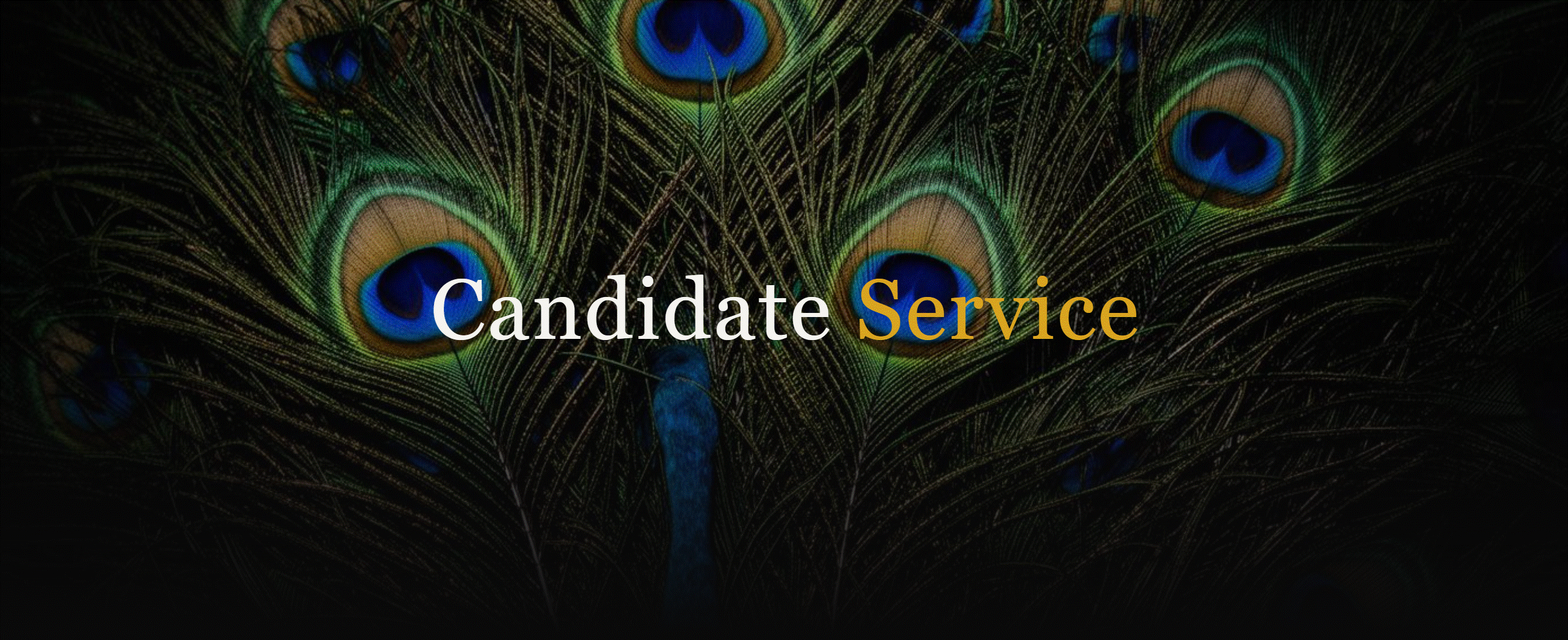 Screenshot 2026-01-14 162514.gif