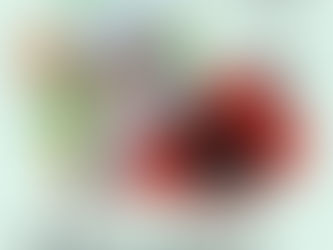 手のひらオペラ No.1 「カルメンの死」 「バスティアンとバスティエンヌ」