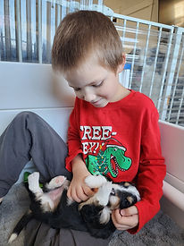 family raised puppy
