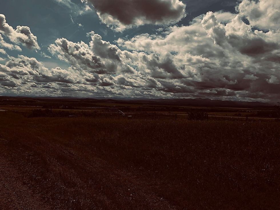 69944117_364984454456000_252731441517114