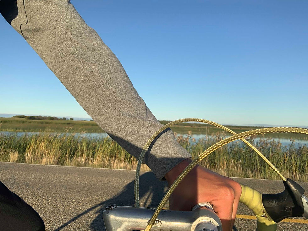 70126524_436398320312081_721423984248854