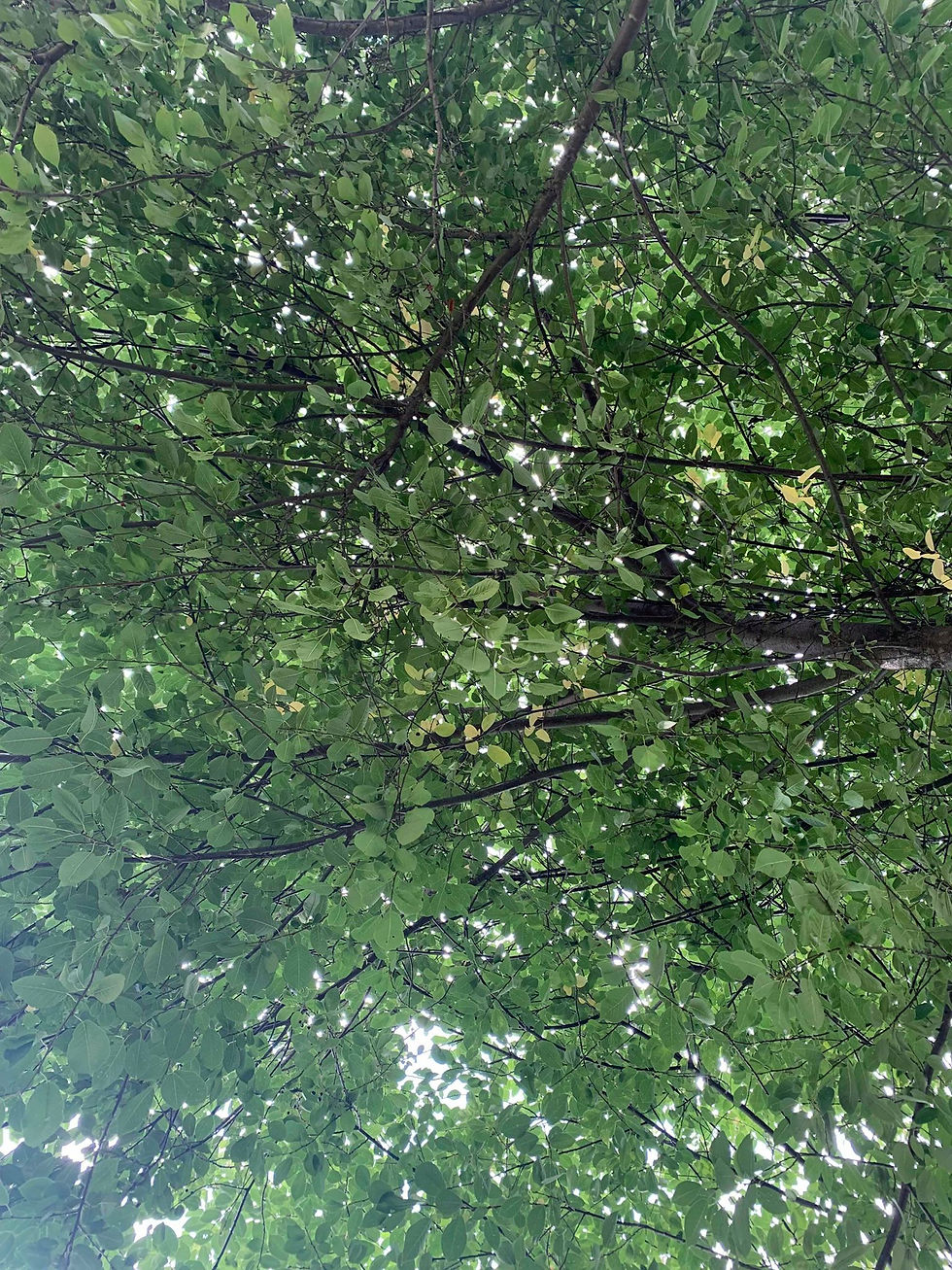 67650061_348803692739511_640801338941453