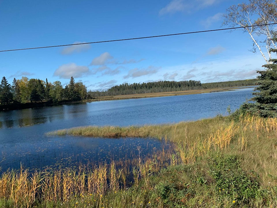 71515159_385359745729996_168214468617043