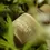 Miniatura: I'm From Mugwort Serum 30 ml