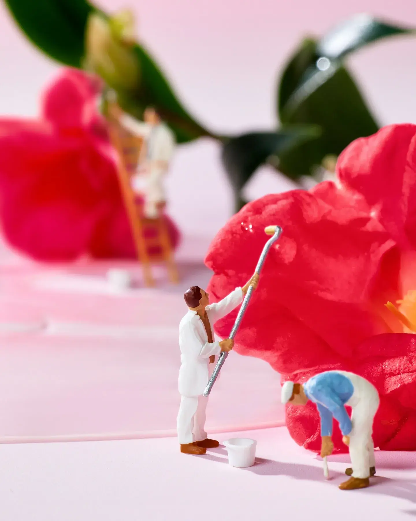 Round Lab Camellia Deep Collagen Firming Cream