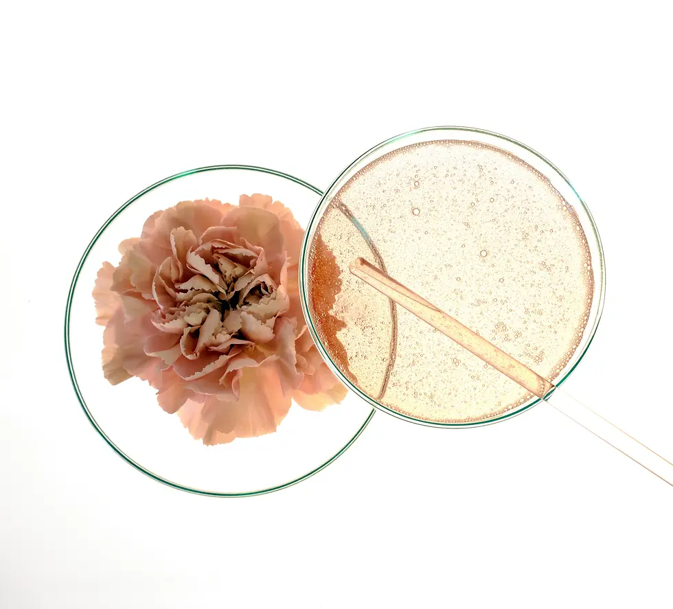 Skean Essential Cleanser 100 ml