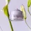 Miniatura: Arencia Hyssop Fume Balm