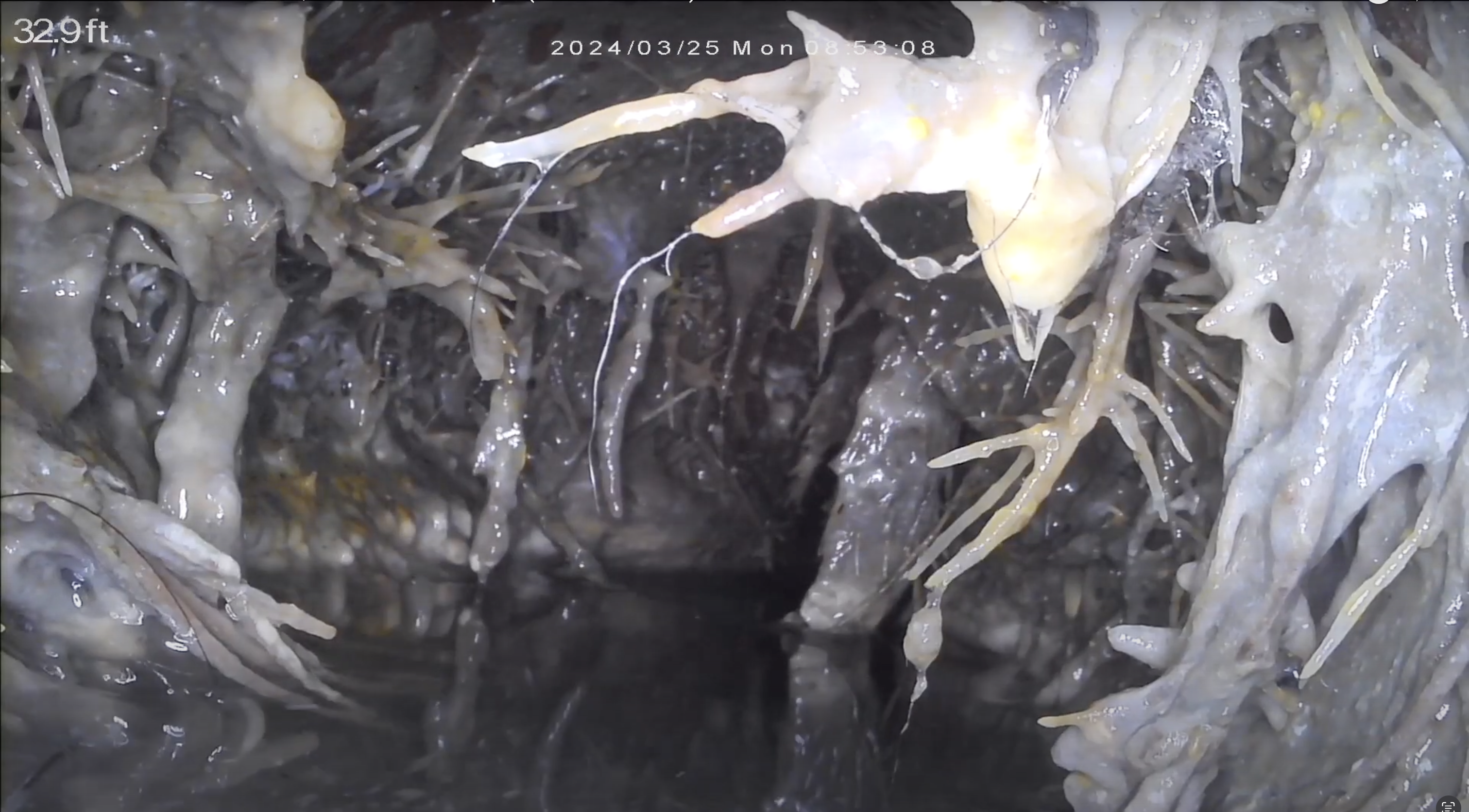 CNHInspections, Central Nebraska Home Inspections, Sewer Scope Inspection, Sewer Lateral, Sewer Back up, Beatrice Nebraska