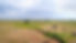 hay bales and windmill in Nebraska Sandhills -aerial view.jpg