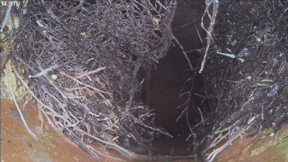 CNHInspections, Central Nebraska Home Inspections, Sewer Scope Inspection, Sewer Lateral, Sewer Back up, Hastings Nebraska