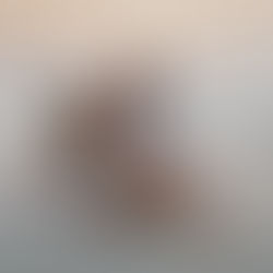 צילומי גיל שנה: איך להכין את הילד ליום המרגש