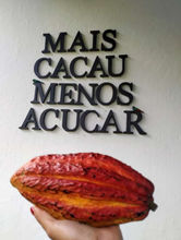 fazenda de cacau ilhéus.jpeg