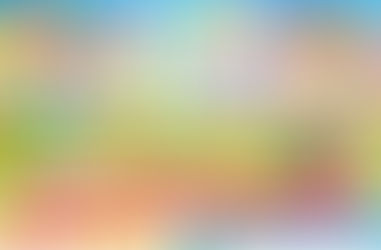 🎉 第2回 カピバラフェスティバラ 開催! 🎉