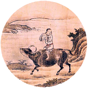 6. Riding the bull.png