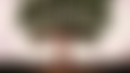 Kiss The Ground Documentary